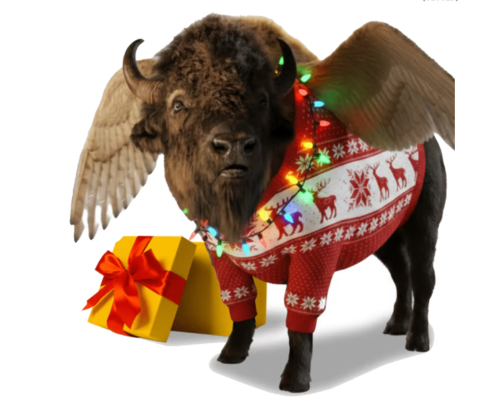 Buffalo with holiday merchandise